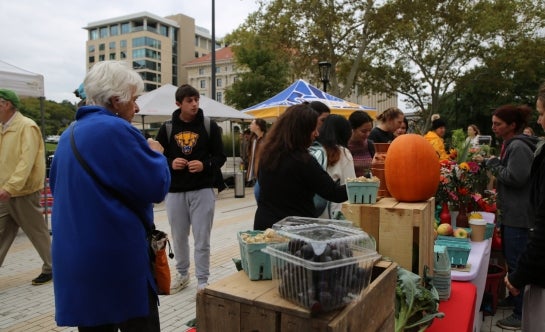 view of students, faculty, and staff shopping at Farmers Market