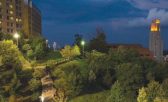 Campus at night with Cathedral in the background