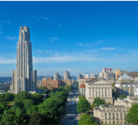 View of Oakland and the Cathedral of Learning